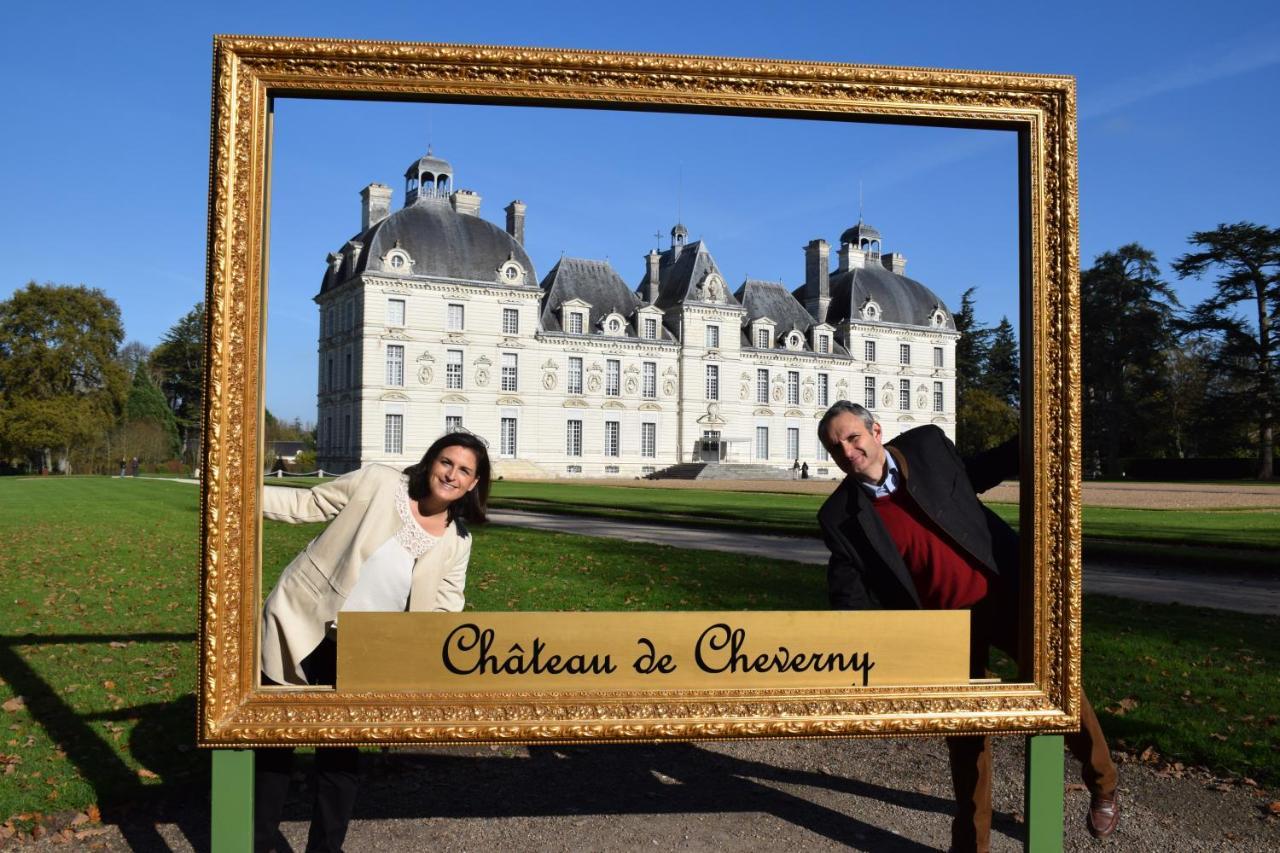 Les Suites Du Chateau De Шеверни Екстериор снимка